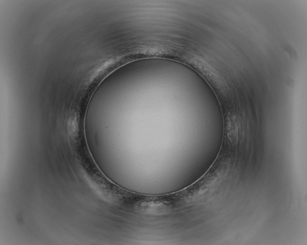 X0000111900208200908031124