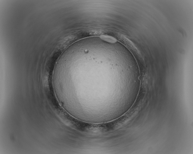 X0000111900209200908031124