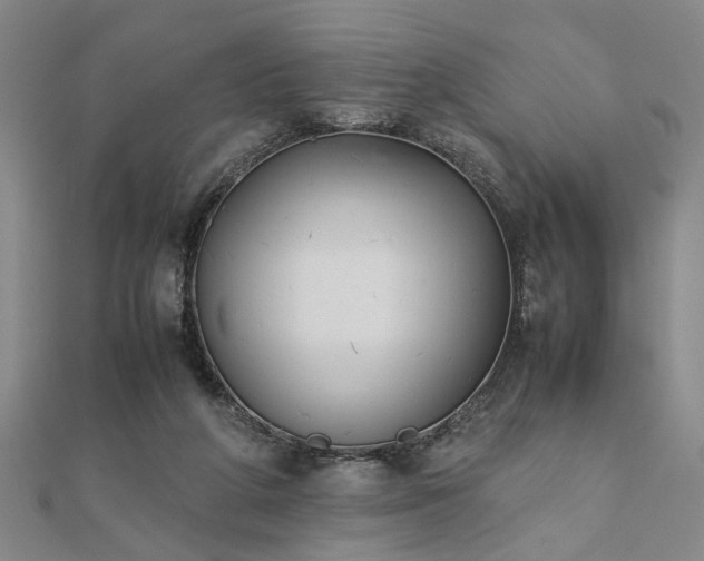 X0000111900210200908031124