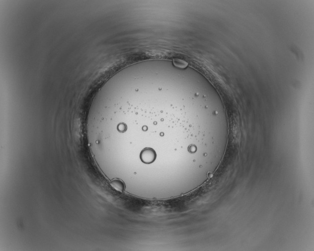 X0000111900211200908031124