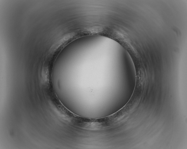 X0000111900212200908031124