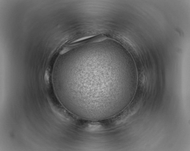 X0000111900214200908031124