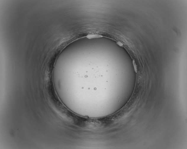 X0000111900215200908031124