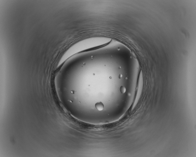 X0000111900217200908031124