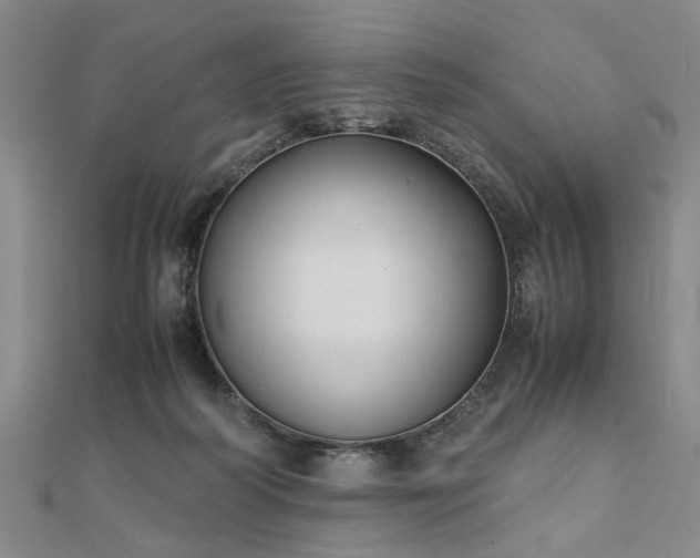 X0000111900218200908031124