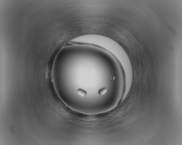 X0000111900219200908031124