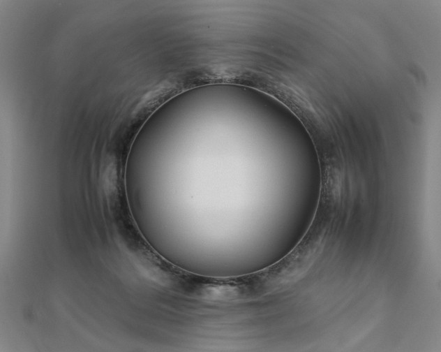 X0000111900220200908031124