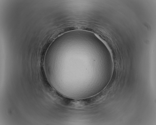 X0000111900221200908031124