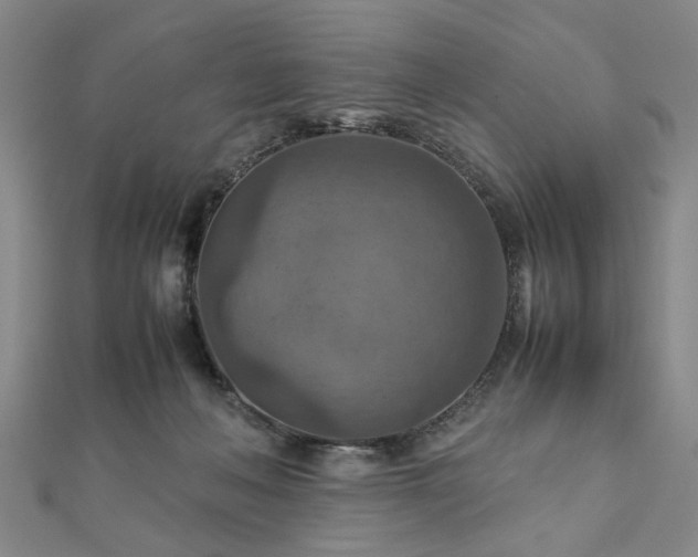 X0000111900222200908031124