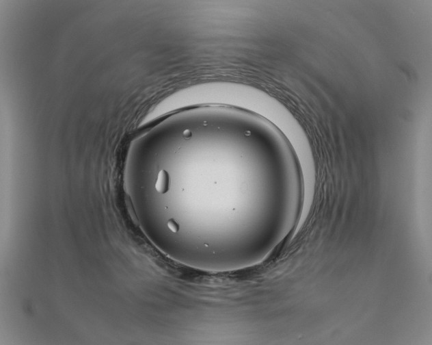 X0000111900223200908031124