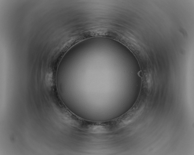 X0000111900224200908031124