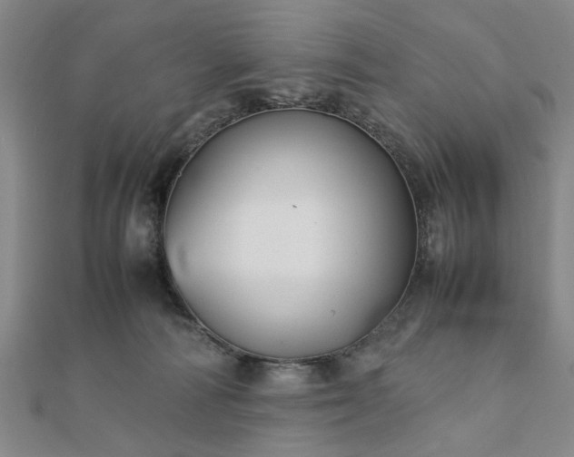 X0000111900226200908031124