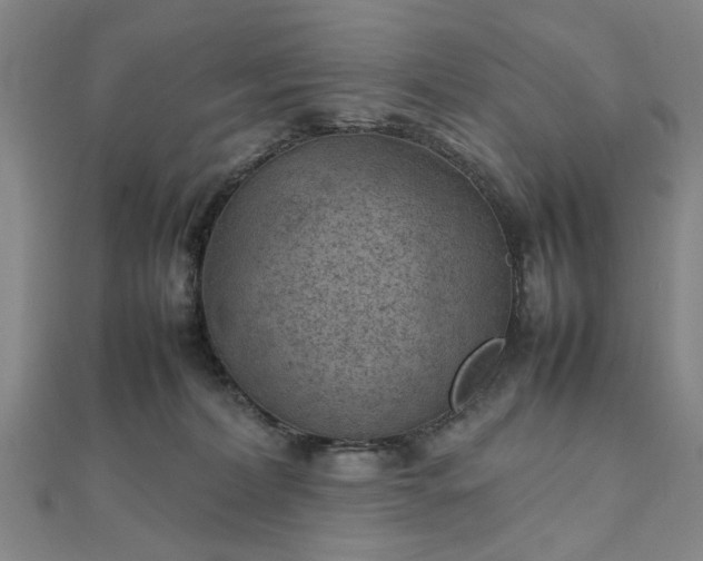 X0000111900228200908031124