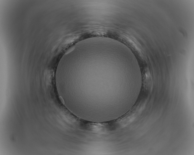 X0000111900229200908031124