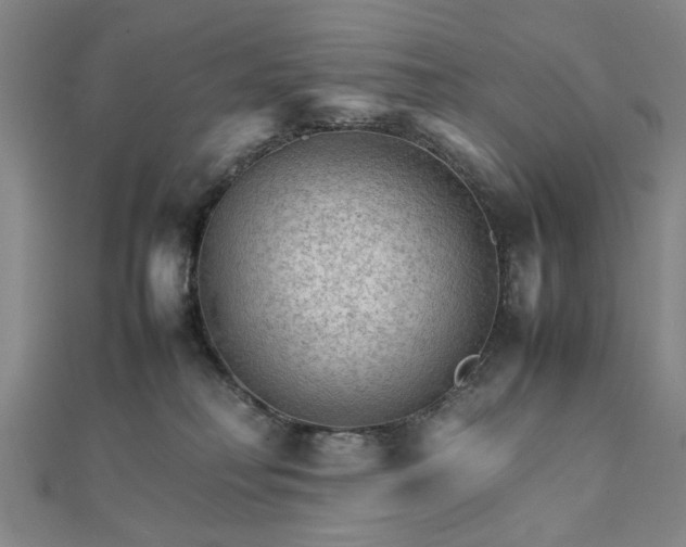 X0000111900230200908031124