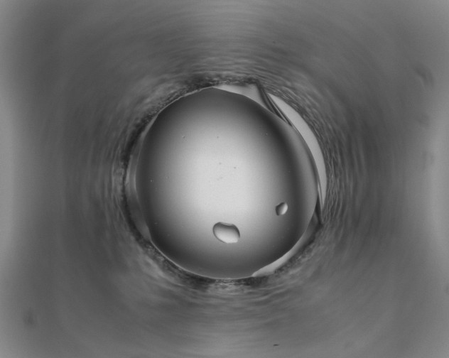 X0000111900231200908031124