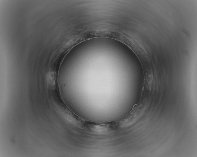 X0000111900232200908031124