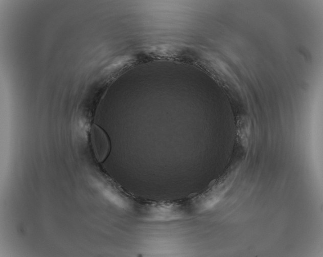 X0000111900235200908031124