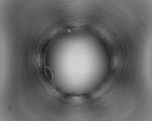 X0000111900236200908031123