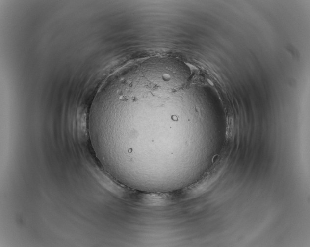 X0000111900238200908031123