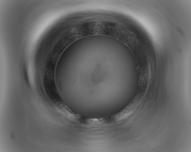 X0000111900239200908031123