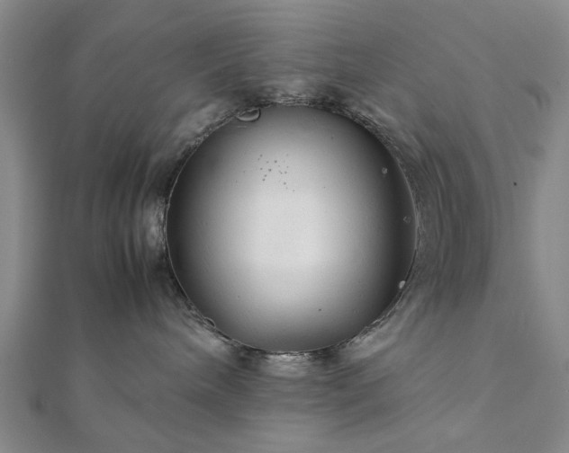 X0000111900240200908031123