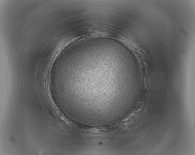 X0000111900241200908031123