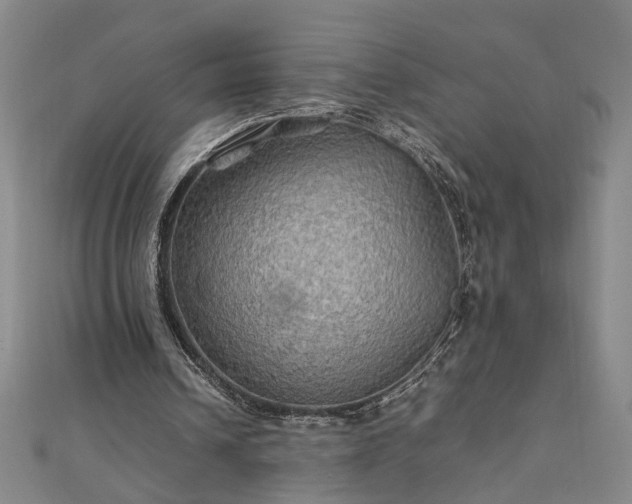 X0000111900242200908031123