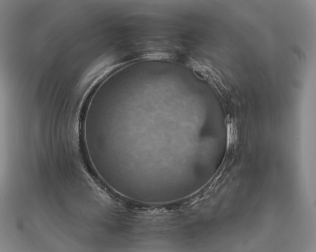 X0000111900243200908031123