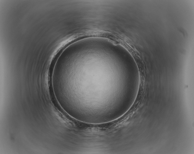 X0000111900244200908031123