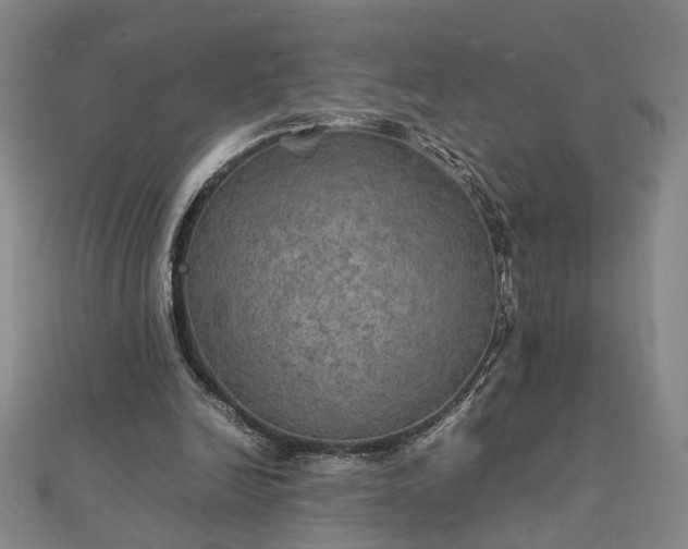 X0000111900246200908031123