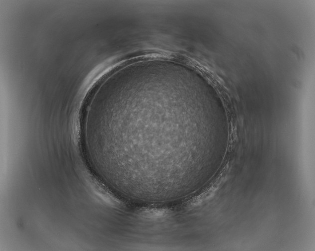 X0000111900247200908031123