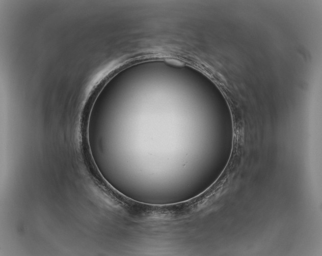 X0000111900248200908031123