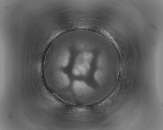 X0000111900249200908031123