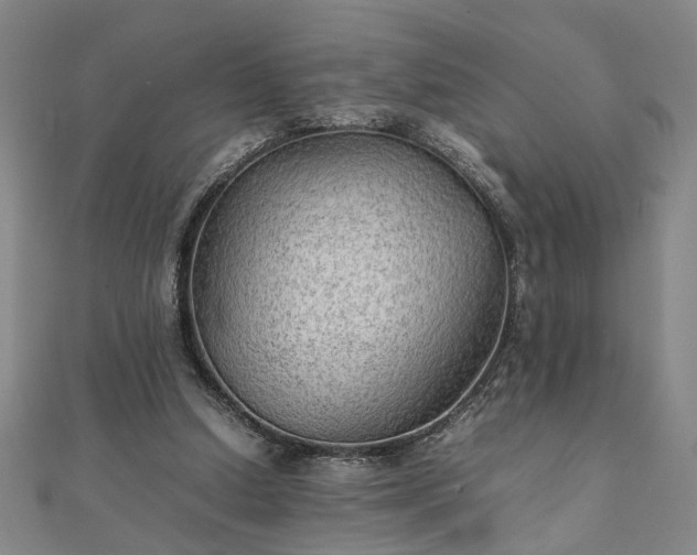 X0000111900250200908031123