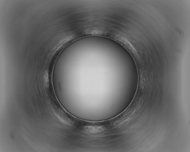 X0000111900251200908031123