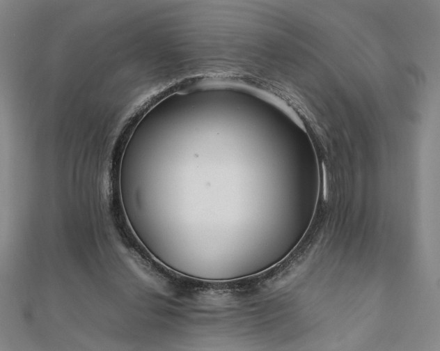 X0000111900252200908031123