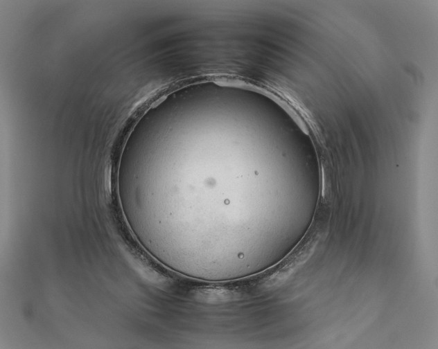 X0000111900253200908031123