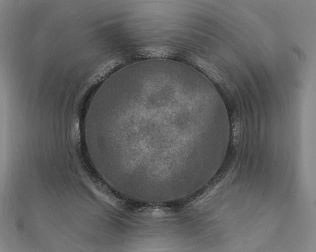 X0000111900254200908031123