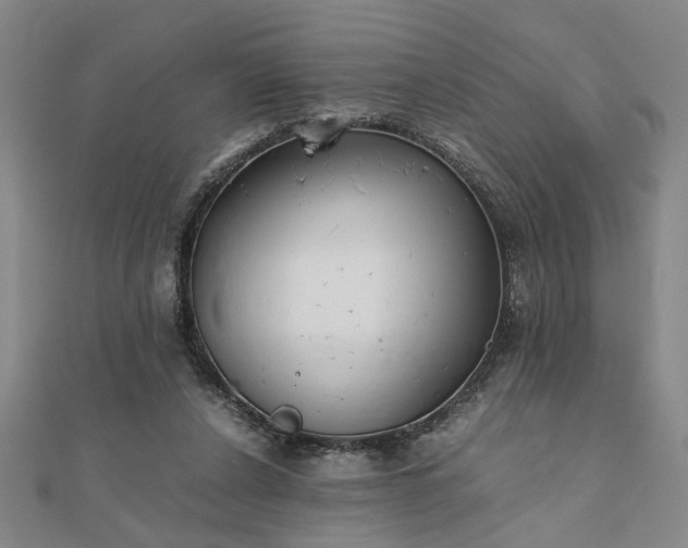 X0000111900256200908031123