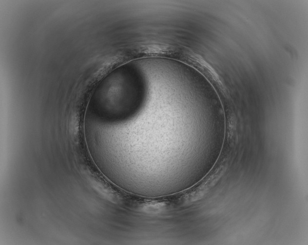 X0000111900257200908031123