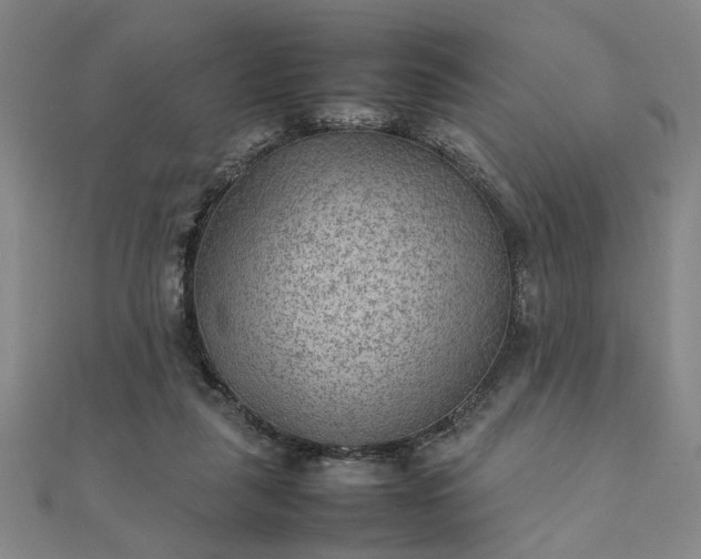 X0000111900259200908031123