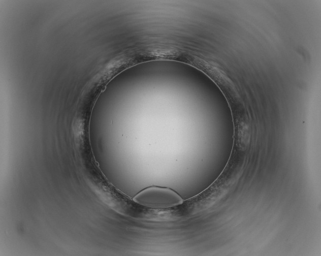 X0000111900260200908031123