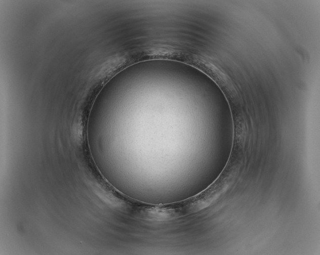 X0000111900261200908031123