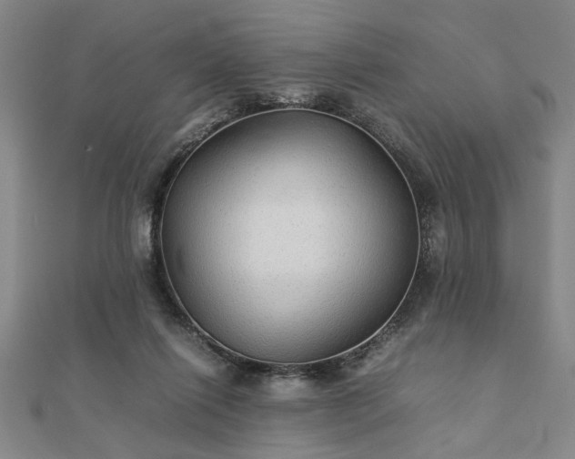 X0000111900262200908031123