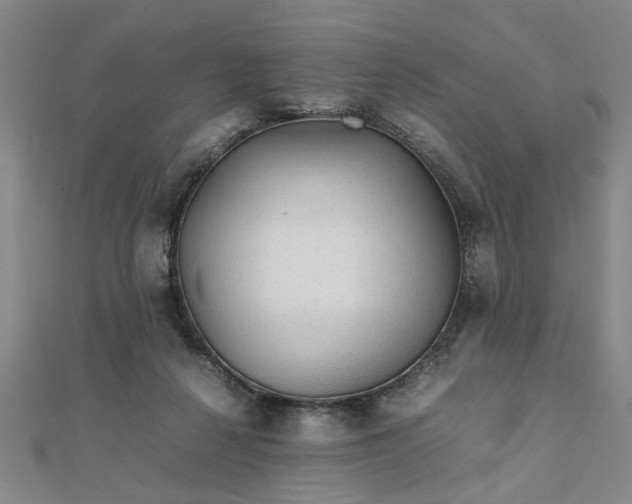 X0000111900264200908031123