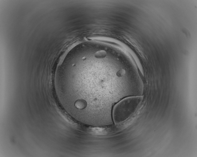 X0000111900265200908031123