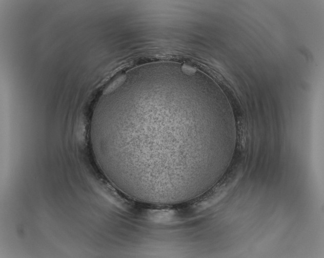 X0000111900266200908031123