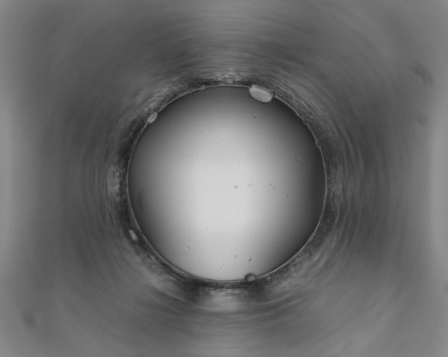 X0000111900268200908031123