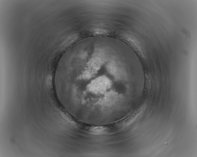 X0000111900269200908031123